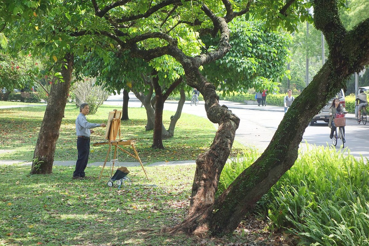 Shaded lawns and old trees on the National Taiwan University campus in Da-an District, Taipei