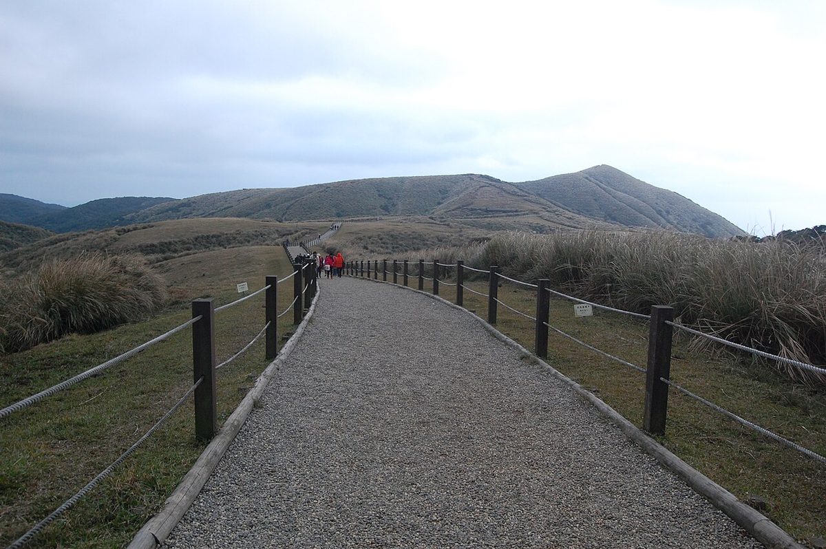 Silver grass covering the Qingtiangang grassland at Yangmingshan, the signature sight of Taipei in November
