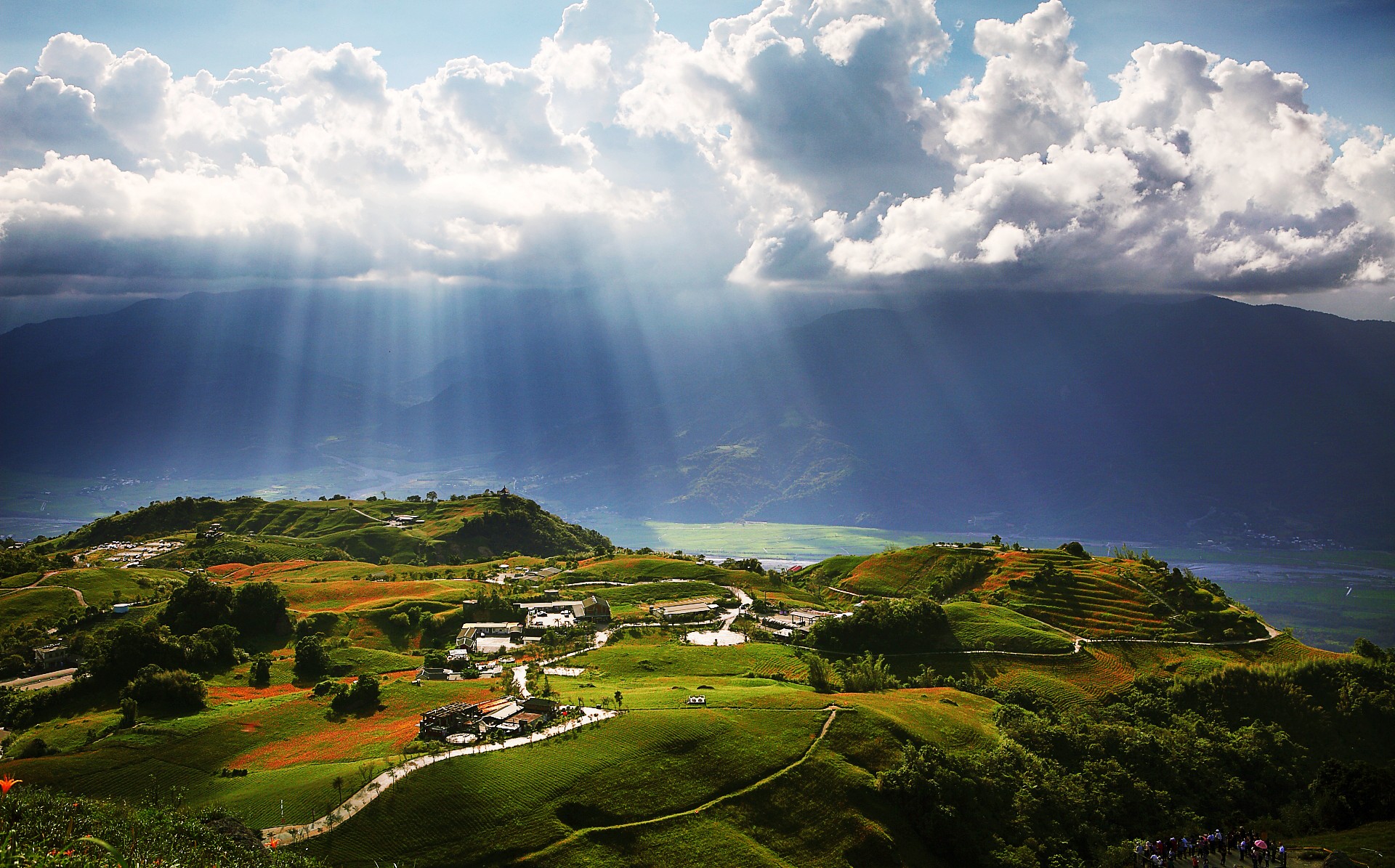 Terraced hillsides dotted with orange daylilies and farm buildings on Liushidan Mountain, with sun rays falling on the rift valley below