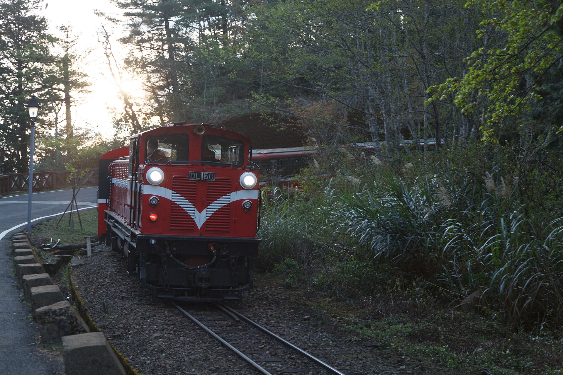 A red Alishan Forest Railway locomotive approaches along a forest curve, with headlights lit and passenger coaches trailing behind.