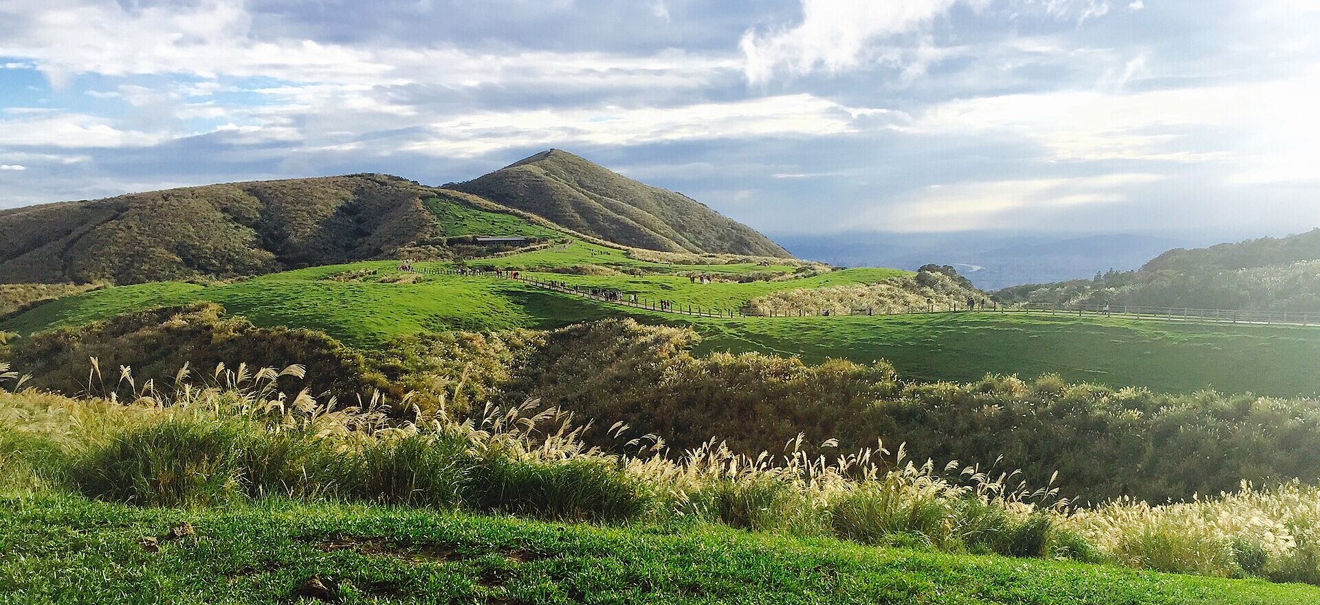 Sunlit silver grass borders Qingtiangang meadows in Yangmingshan, with rolling hills and walking paths beneath a partly cloudy sky.