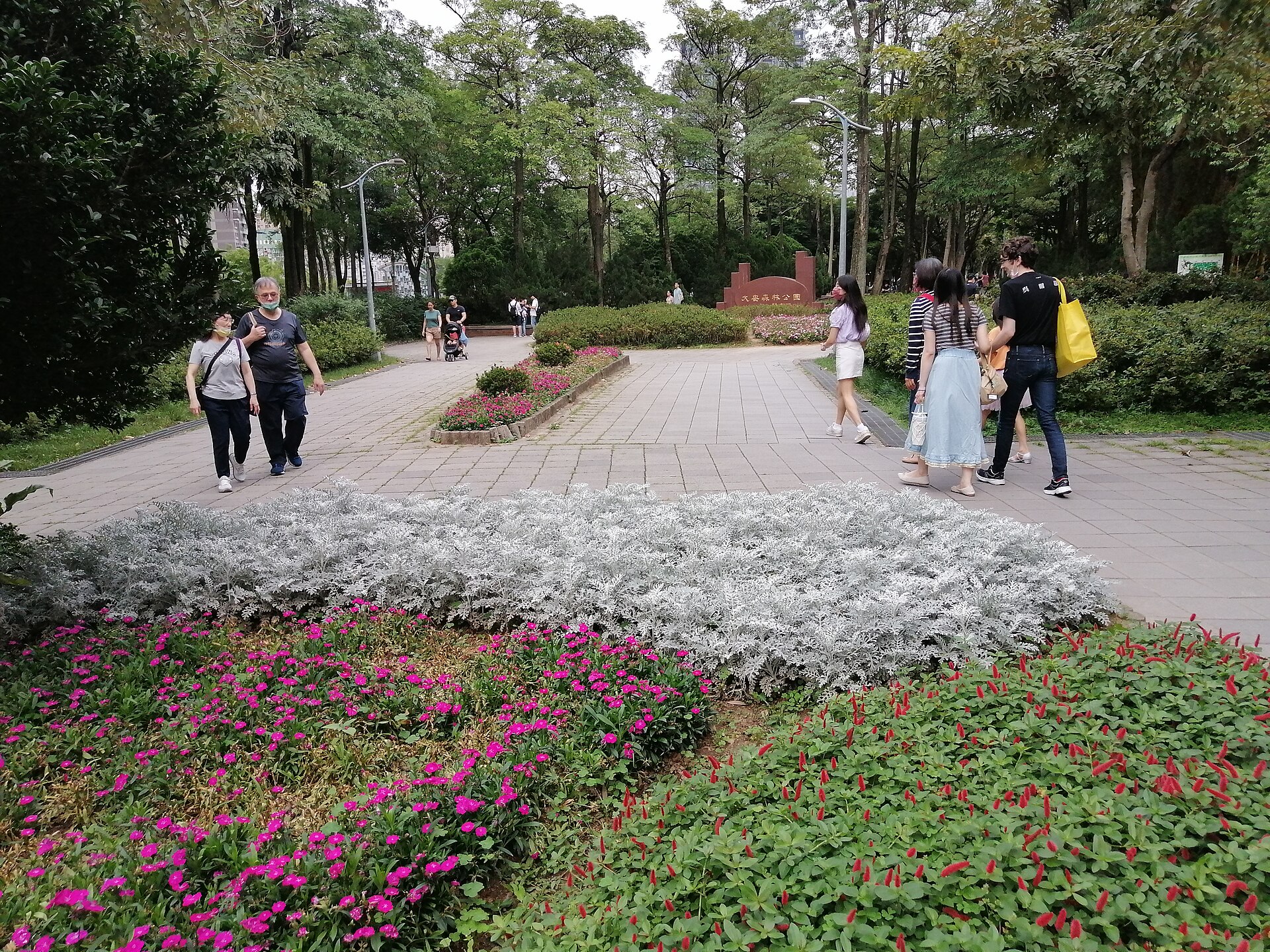 Visitors stroll beside pink flowers and silver foliage on tree-lined paths in Daan Forest Park, Taipei, during a spring afternoon.